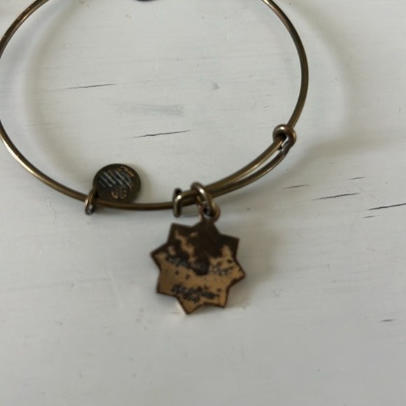 Lot of 4 Alex and Ani Bracelets Dragonfly Team USA Healing Love Arrow Feather‎ - Picture 6 of 7